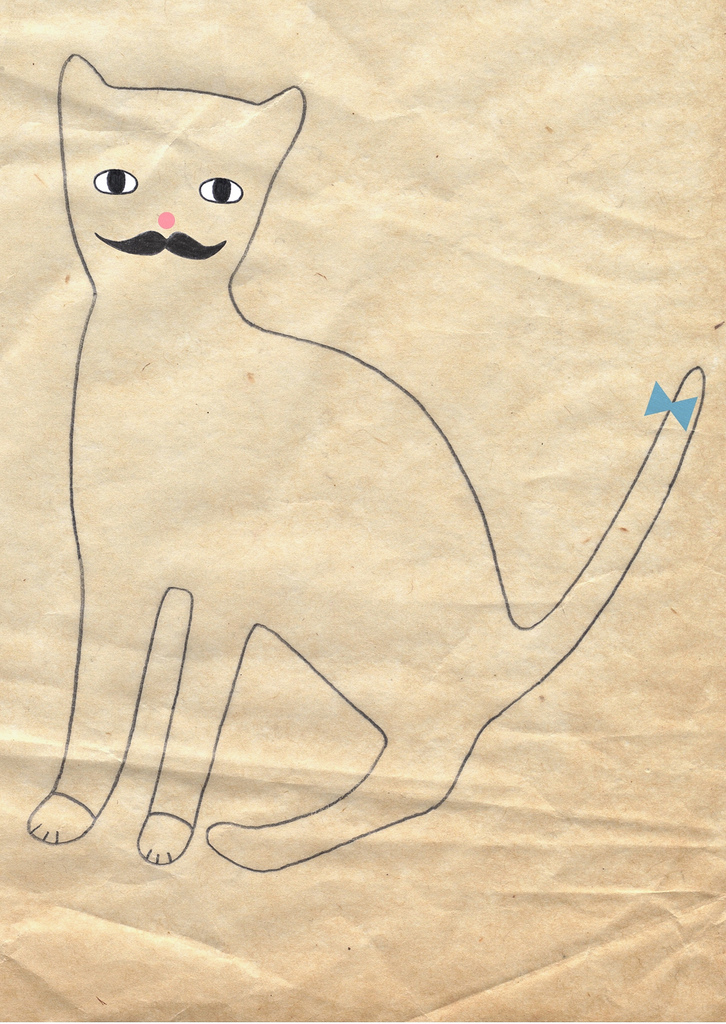 Cat with a moustache