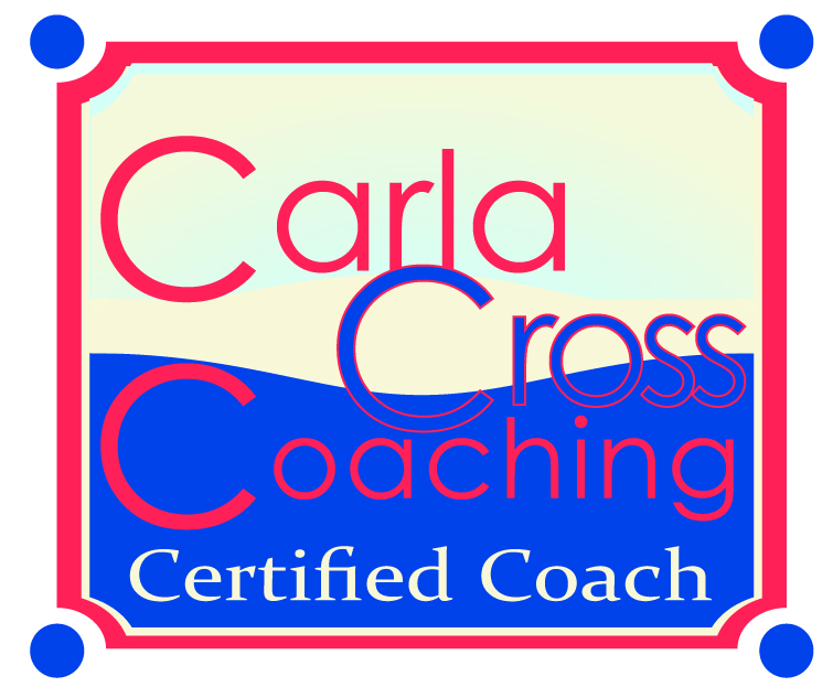 Success coach logo