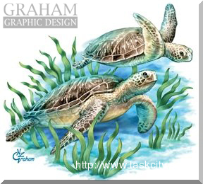 Seaturtles sm