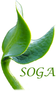 Soga_technology