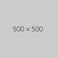 500x500