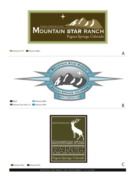Mountain star ranch client logo picks