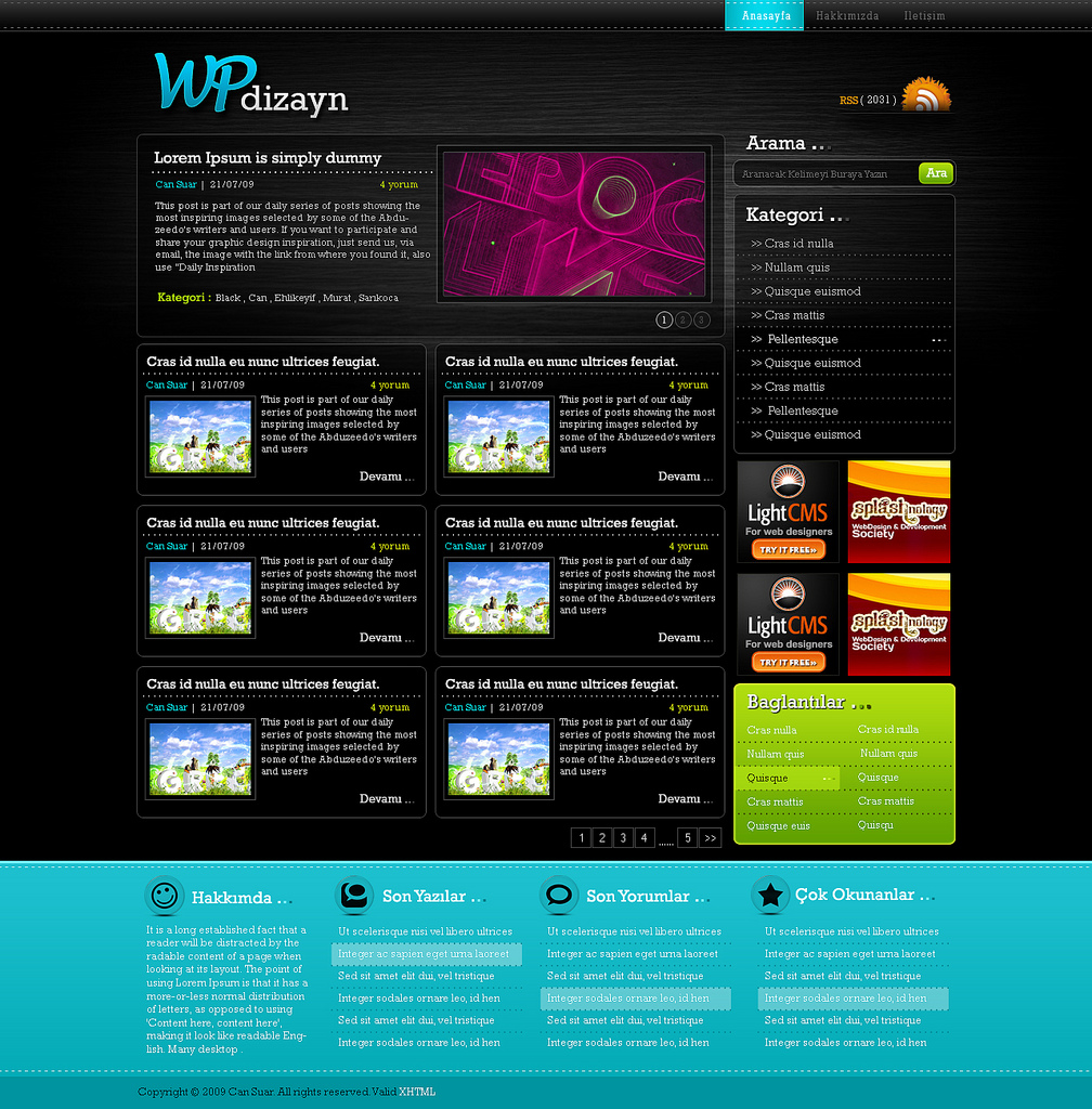 Wpdizay wordpress theme  home page