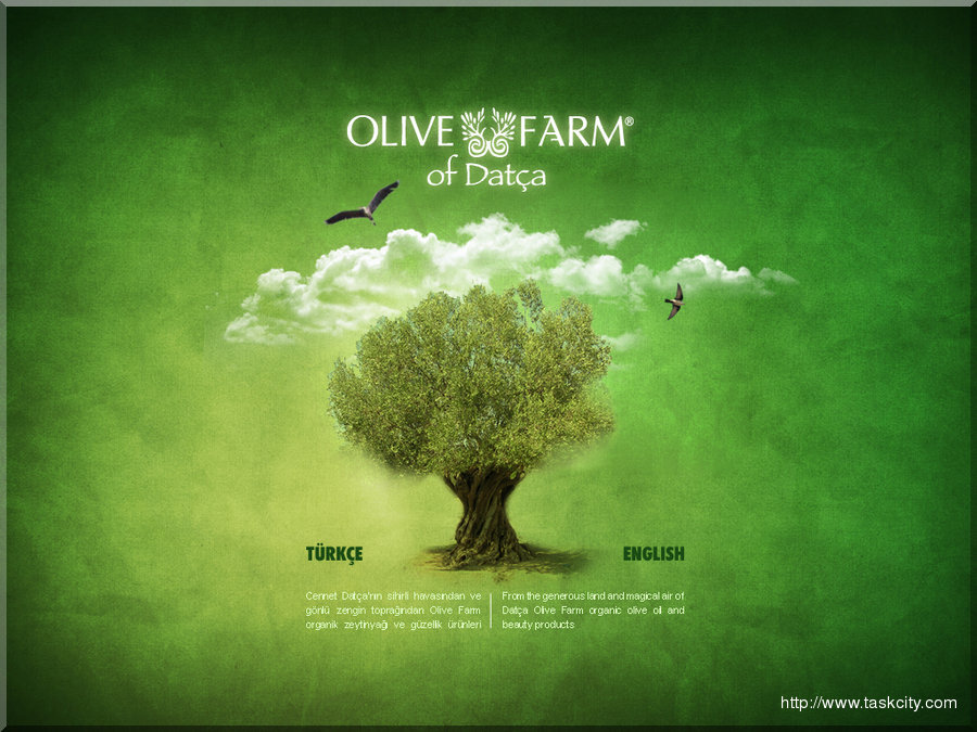 Olive farm web interface enter by deryanaymanlar
