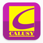 Calusy